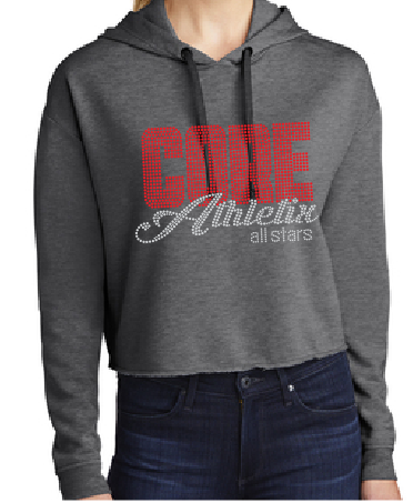 Bling Cropped Hoodie